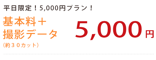 基本料
