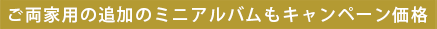 ときめきウエディング リニューアルキャンペーン